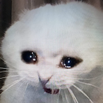Pjer69's Avatar'