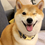 Koegog1257's Avatar'