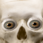 TheSkeleMonster's Avatar'