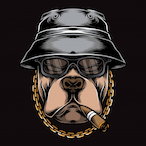 xqya's Avatar'