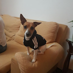 Ooskiller10's Avatar'