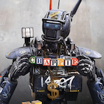 Bot_Activity's Avatar'