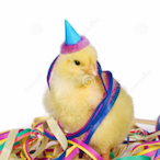 GBC_PartyChiken's Avatar'