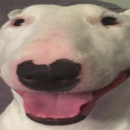 footjawb432's Avatar'