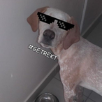 SalviniHS's Avatar'