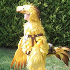 mandari23's Avatar'