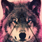 analimpaction2_'s Avatar'