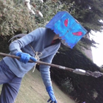 DaD_Single's Avatar'