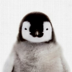 B0P777's Avatar'