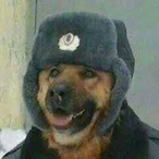 StealthDih's Avatar'