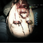 FXY312733496's Avatar'