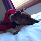 Angushades1JZ's Avatar