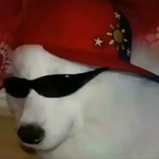 underscore_s's Avatar'