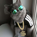 KWBobcat's Avatar'