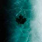 ZYR_Non-chief's Avatar'
