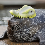 SpectreCroc's Avatar'