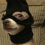 Steealth_137's Avatar'