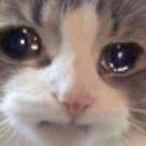 AOR.AADU's Avatar'