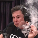 ded_hasan.'s Avatar'