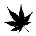 ni5riho's Avatar'