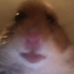 OOF_jakovGg's Avatar'