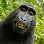 Not.Gorm's Avatar'