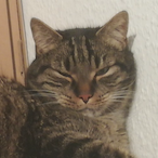 Maikeru-_-0's Avatar'