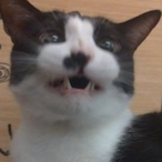 xixixizzz's Avatar'