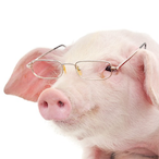 Bacon4Life's Avatar'
