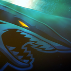 b1kbrd's Avatar'