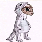 FollowDuck's Avatar'