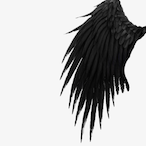 I_AmDemiGod's Avatar'