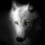 TunderHiker's Avatar'