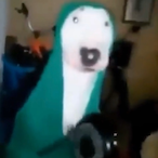 puffydiddy's Avatar'