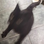 LeT.Macheck's Avatar'