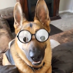 CaptainPie1029's Avatar'