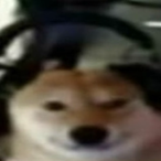 aspect_voids's Avatar'