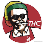 Dr.T_H_C's Avatar'