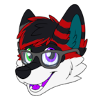 WilteFoxccoon's Avatar'