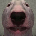 Molxitovx's Avatar'