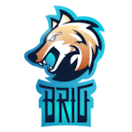 sbriix.'s Avatar'