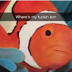 Dizbjtchnemo's Avatar'
