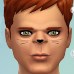 pinca's Avatar'