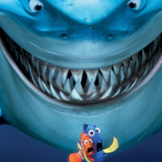 Sharkk_k's Avatar'