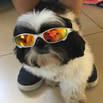 TodoToddy22's Avatar'