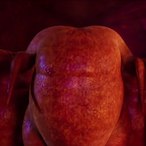 MkChiken's Avatar'