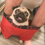 Quinlan-J13's Avatar'