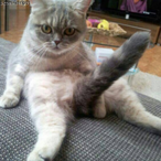 Luv FentnyIl's Avatar'