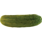 AverageDylPickl's Avatar'