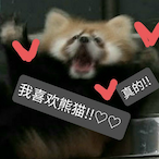 qq_7190021008's Avatar'